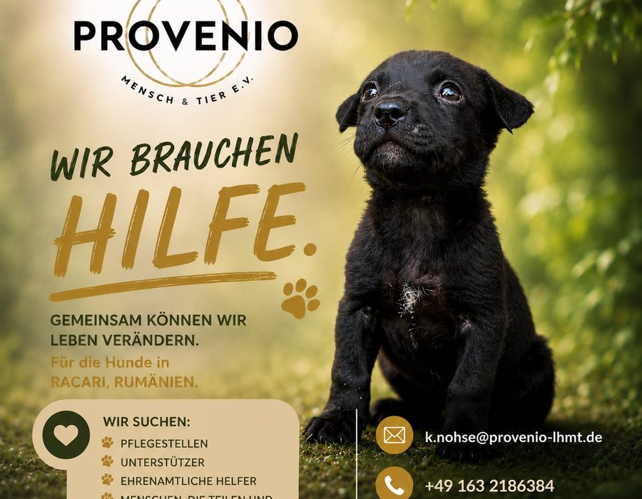 Bruno